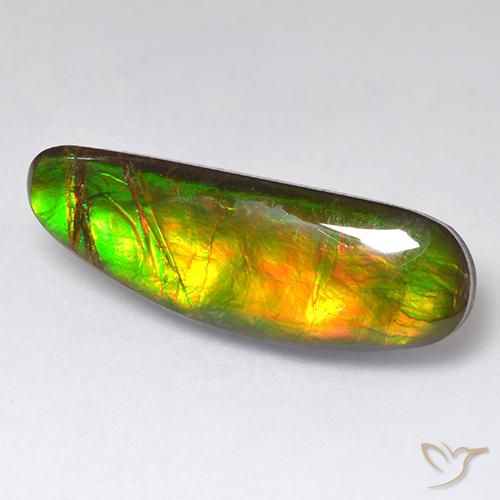 11.01 ct Multicolor Ammolite Stone, Natural Ammolite in Fancy Cabochon Shape for Sale