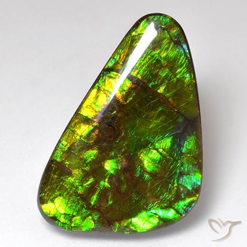 18.51 ct Multicolor Ammolite Stone, Natural Ammolite in Fancy Cabochon Shape for Sale