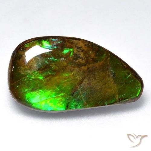 12.04ct Natural Multicolor Ammolite, Fancy, Opaque