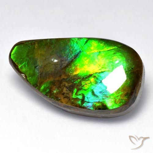 12.04 ct Multicolor Ammolite Stone, Natural Ammolite in Fancy Cabochon Shape for Sale