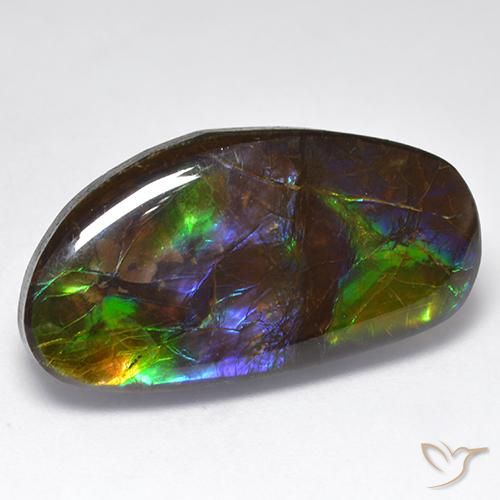 16.71 ct Multicolor Ammolite Stone, Natural Ammolite in Fancy Cabochon Shape for Sale