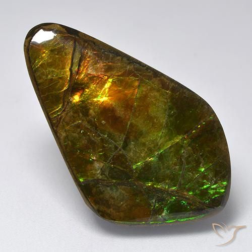 19.12 ct Multicolor Ammolite Stone, Natural Ammolite in Fancy Cabochon Shape for Sale