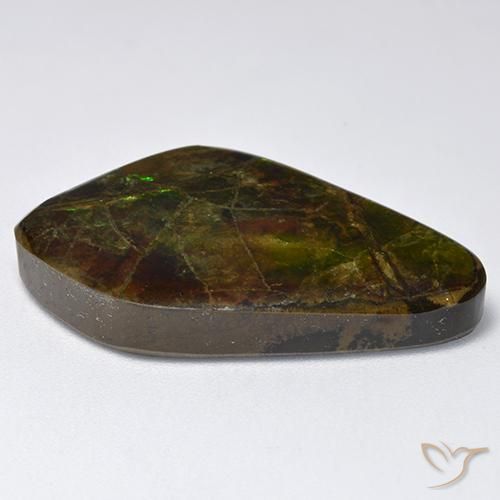 Ammolite Gemstone in 28.7 x 17.2 mm Size for Sale, Ammolite Stone in Multicolor Color