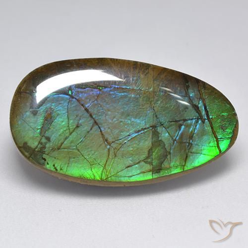 18.04 ct Fancy Ammolite, 26.5 x 14.8 mm From Canada, Photo A