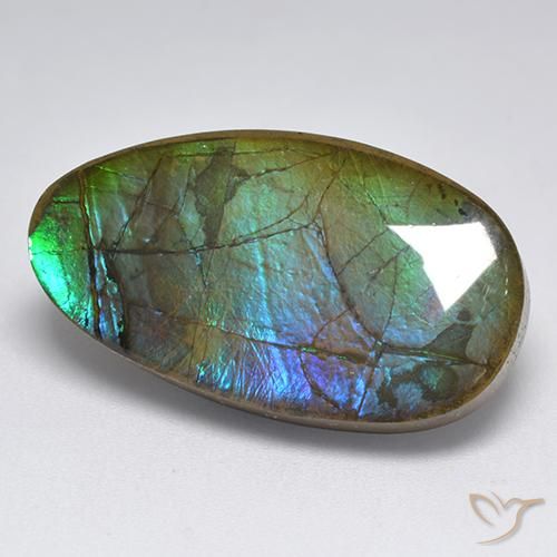 18.04 ct Multicolor Ammolite Stone, Natural Ammolite in Fancy Cabochon Shape for Sale
