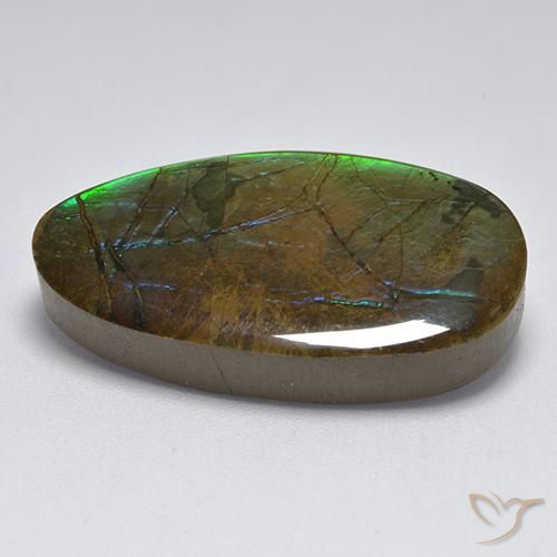 Ammolite Gemstone in 26.5 x 14.8 mm Size for Sale, Ammolite Stone in Multicolor Color