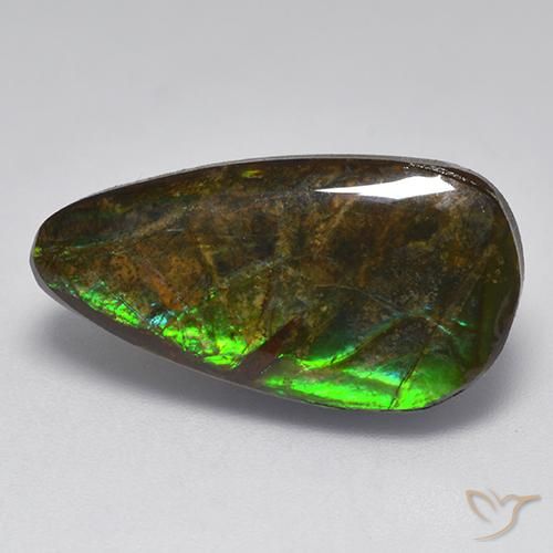 10.04 ct Multicolor Ammolite Stone, Natural Ammolite in Fancy Cabochon Shape for Sale