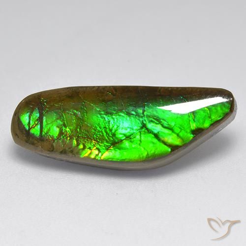 9.60ct Natural Multicolor Ammolite, Fancy, Opaque