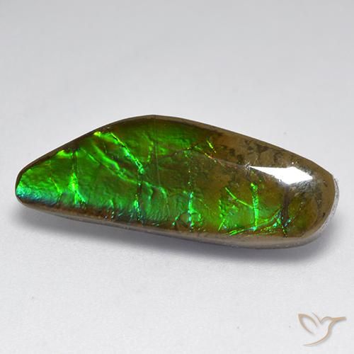 9.60 ct Multicolor Ammolite Stone, Natural Ammolite in Fancy Cabochon Shape for Sale