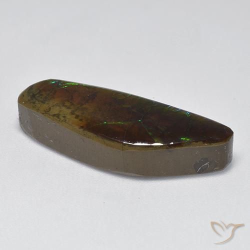 Ammolite Gemstone in 23.8 x 8.8 mm Size for Sale, Ammolite Stone in Multicolor Color