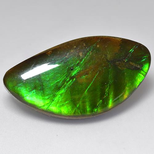 20,84ct Cabochon fantasia multicolore Ammolite dal Canada, Dimension 29,5x15,6 mm, Natural Assemblato Gemstone, Opaque Clarity, 1 piece Ammolite in Multicolore Color, Mohs Hardness of 4 - 4, Photo A