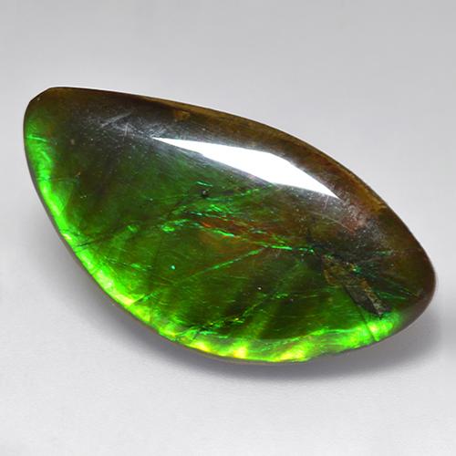 20.84 ct Multicolor Ammolite Stone, Natural Ammolite in Fancy Cabochon Shape for Sale