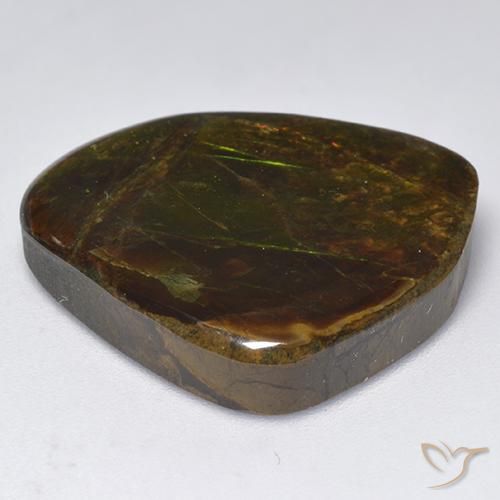 Ammolite Gemstone in 22.8 x 19.7 mm Size for Sale, Ammolite Stone in Multicolor Color
