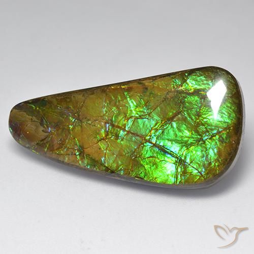 23.60 ct Multicolor Ammolite Stone, Natural Ammolite in Fancy Cabochon Shape for Sale