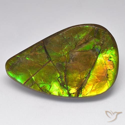 Best Ammolite for a Pendant | Large Size, AAA Color