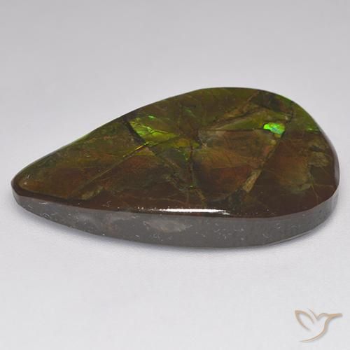 Best Ammolite for a Pendant | Large Size, AAA Color