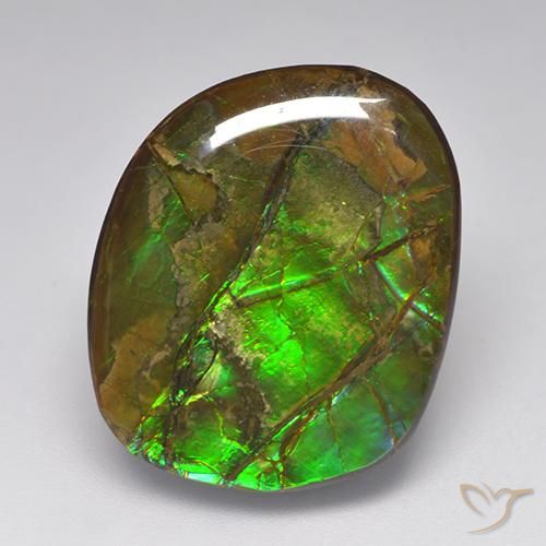 19.23ct Natural Multicolor Ammolite, Fancy, Opaque