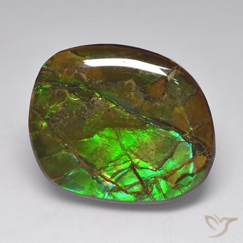 19.23 ct Multicolor Ammolite Stone, Natural Ammolite in Fancy Cabochon Shape for Sale