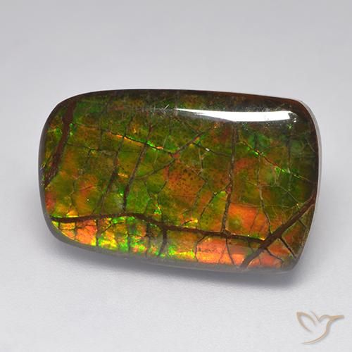 15.22 ct Multicolor Ammolite Stone, Natural Ammolite in Fancy Cabochon Shape for Sale