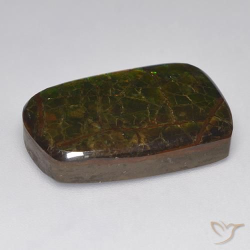 Ammolite Gemstone in 20.9 x 13.3 mm Size for Sale, Ammolite Stone in Multicolor Color