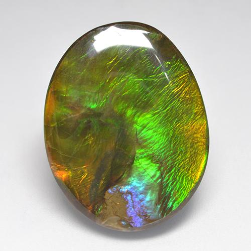 Multicolor Ammolite Gem - 22.8ct Fancy Cabochon (ID: 522369)
