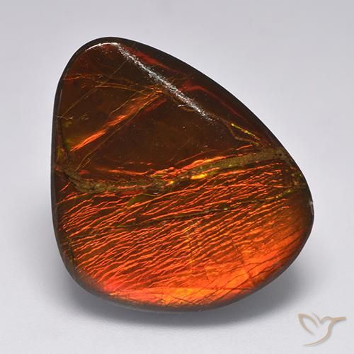 22.11ct Natural Multicolor Ammolite, Fancy, Opaque