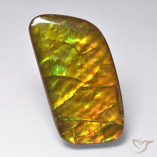 23.24ct Natural Multicolor Ammolite, Fancy, Opaque