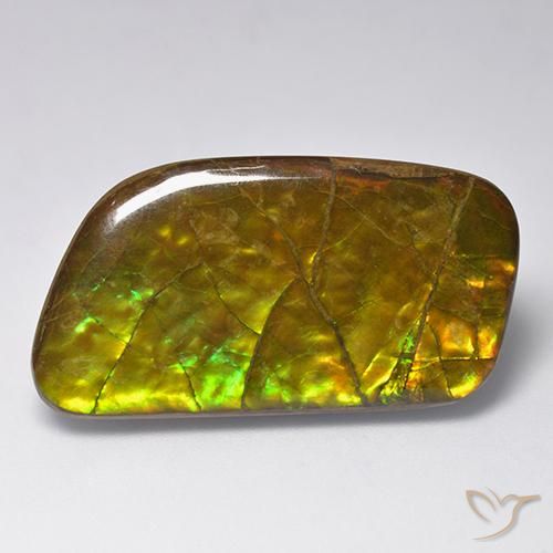23.24 ct Multicolor Ammolite Stone, Natural Ammolite in Fancy Cabochon Shape for Sale
