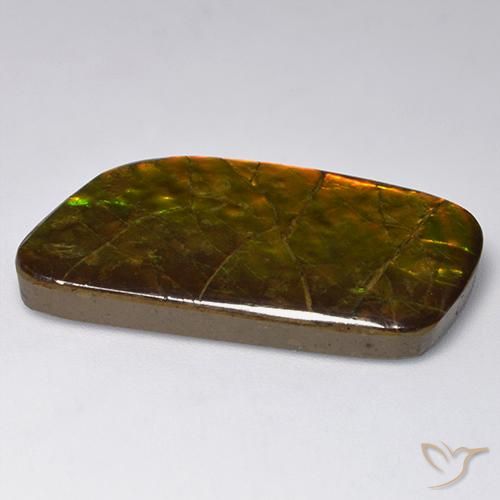 Ammolite Gemstone in 33.1 x 17.2 mm Size for Sale, Ammolite Stone in Multicolor Color
