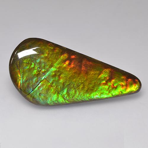 37,1 x 17,7mm fancy-schliff mehrfarbiger Ammolith aus Kanada, Gewicht von 26,02 ct, natürlicher Edelstein in Opaque Reinheit, 1 Stück fancy-schliff Ammolith - Farbe: Mehrfarbig, Mohs-Härte von 4, Photo A