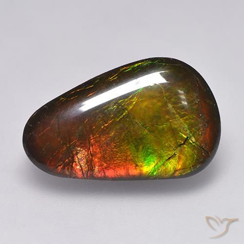 12.85 ct Multicolor Ammolite Stone, Natural Ammolite in Fancy Cabochon Shape for Sale