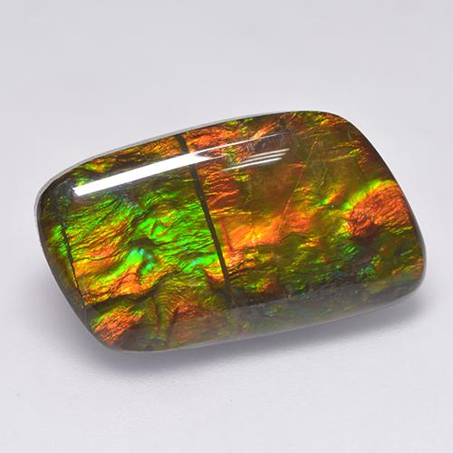 Multicolor Ammolite Gem - 15ct Fancy Cabochon (ID: 522523)
