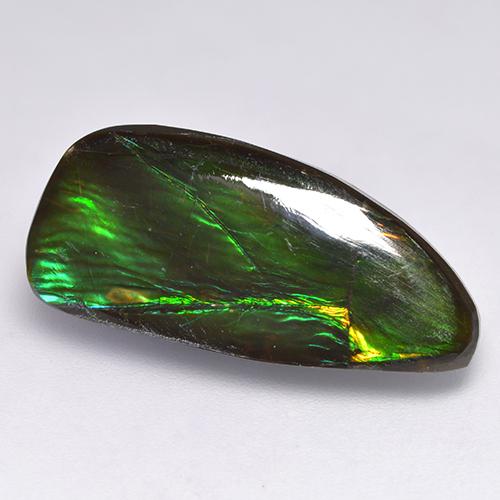 Ammolite Multicolore fancy cabochon du Canada, 24,3x11 mm, poids de 11,37 ct, pierre gemme naturelle assemblé de pureté Opaque , 1 pièce d'ammolite, couleur Multicolore, dureté Mohs de 4 à 4, Photo A