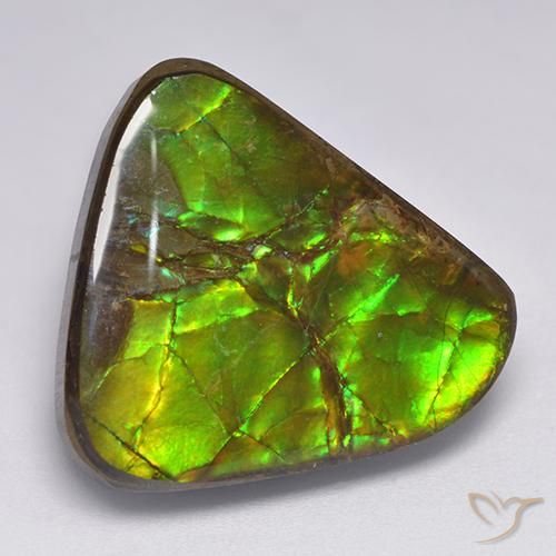 17.90ct Natural Multicolor Ammolite, Fancy, Opaque