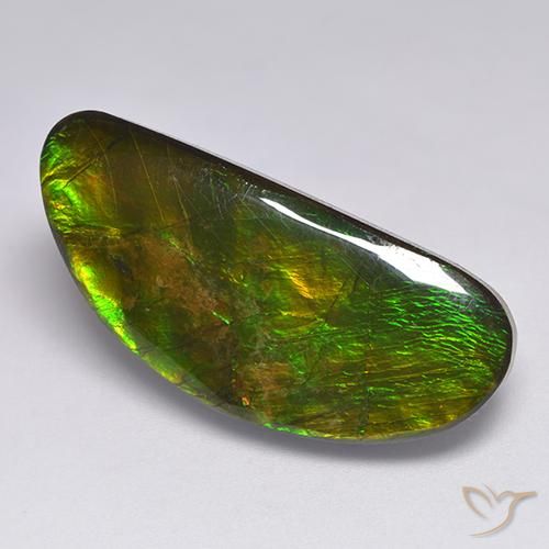 18.57ct Natural Multicolor Ammolite, Fancy, Opaque