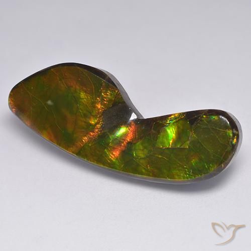 24.54ct Natural Multicolor Ammolite, Fancy, Opaque