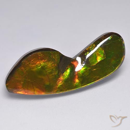 24.54 ct Multicolor Ammolite Stone, Natural Ammolite in Fancy Cabochon Shape for Sale