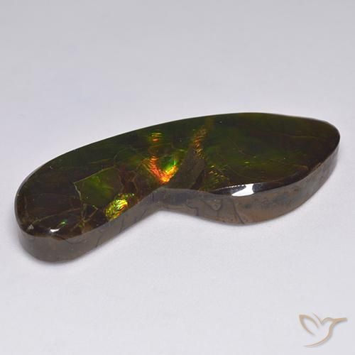 Ammolite Gemstone in 37 x 13.8 mm Size for Sale, Ammolite Stone in Multicolor Color