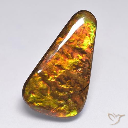 18.34ct Natural Multicolor Ammolite, Fancy, Opaque