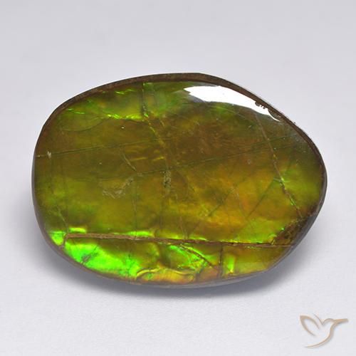 20.63 ct Multicolor Ammolite Stone, Natural Ammolite in Fancy Cabochon Shape for Sale