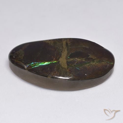 Ammolite Gemstone in 26.4 x 15.4 mm Size for Sale, Ammolite Stone in Multicolor Color