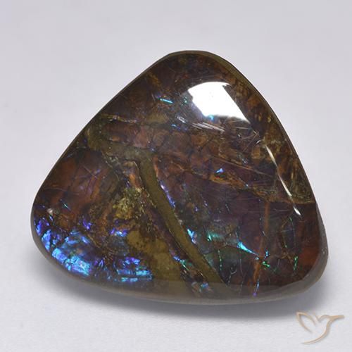 14.06ct Natural Multicolor Ammolite, Trillion, Opaque