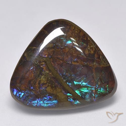 14.06 ct Multicolor Ammolite Stone, Natural Ammolite in Trillion Cabochon Shape for Sale
