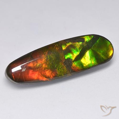 13.63ct Natural Multicolor Ammolite, Fancy, Opaque