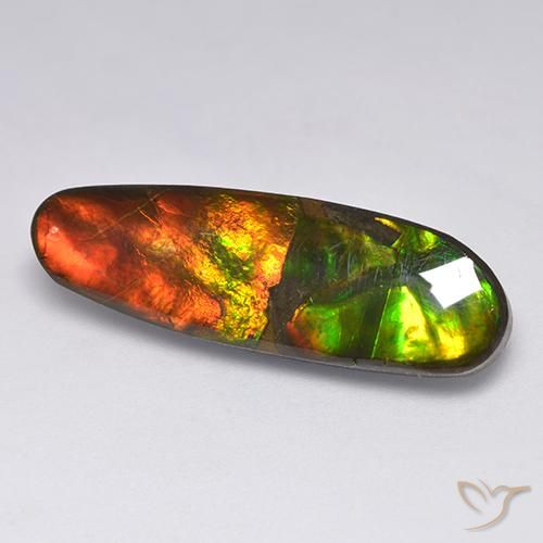 13.63 ct Multicolor Ammolite Stone, Natural Ammolite in Fancy Cabochon Shape for Sale