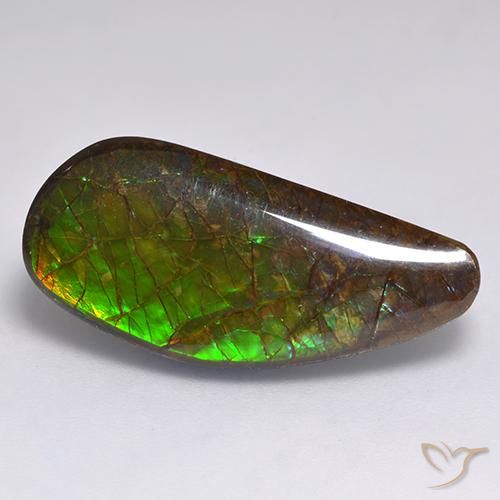 13.19 ct Fancy Ammolite, 25.9 x 11.6 mm From Canada, Photo A