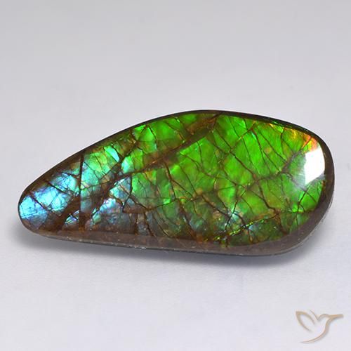 13.19 ct Multicolor Ammolite Stone, Natural Ammolite in Fancy Cabochon Shape for Sale