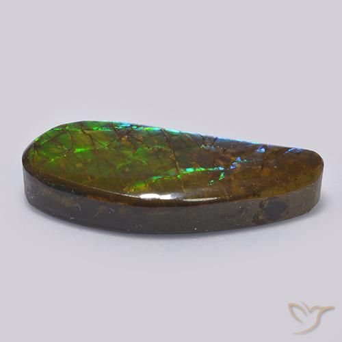 Ammolite Gemstone in 25.9 x 11.6 mm Size for Sale, Ammolite Stone in Multicolor Color