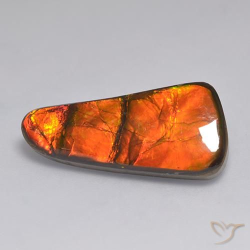 11.58ct Natural Multicolor Ammolite, Fancy, Opaque