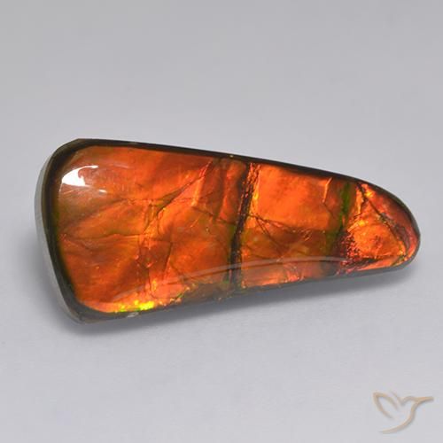 11.58 ct Multicolor Ammolite Stone, Natural Ammolite in Fancy Cabochon Shape for Sale